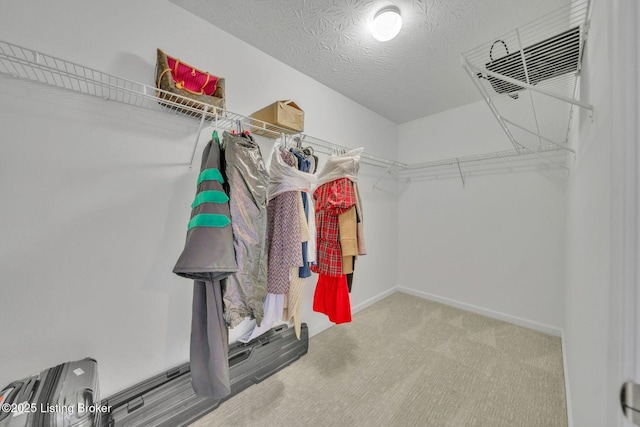 spacious closet with carpet