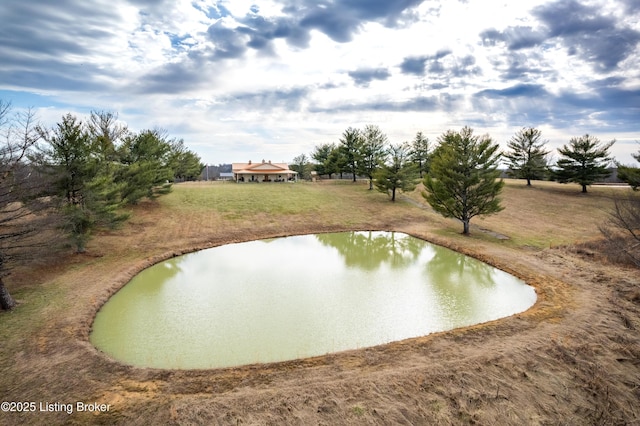 view of community with a water view and a lawn