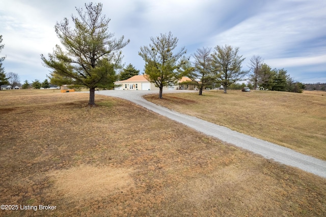 view of yard with a garage and driveway