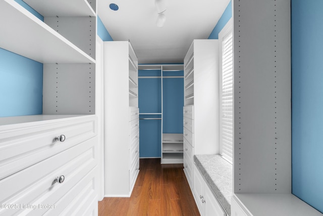 walk in closet featuring wood finished floors