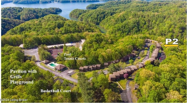 bird's eye view featuring a water view and a wooded view