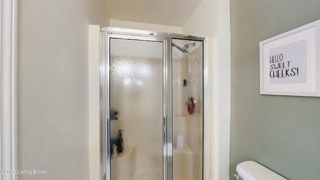 full bathroom with toilet and a stall shower