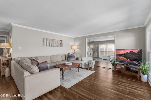 living room featuring dark wood finished floors and crown molding