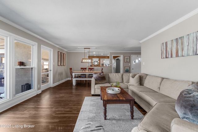 living room featuring baseboards, dark wood finished floors, and crown molding