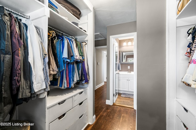 walk in closet with dark wood-style flooring