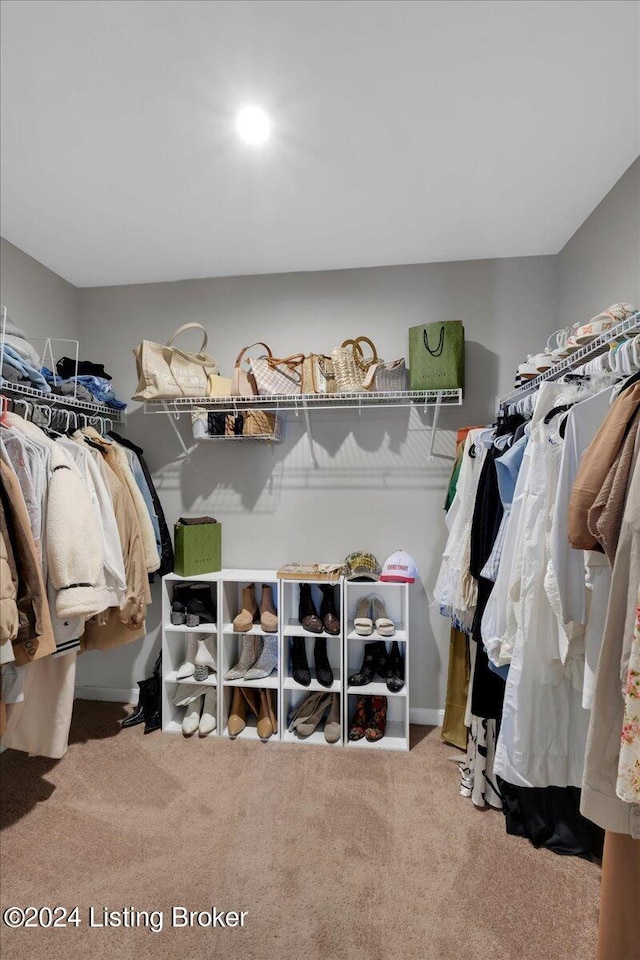 spacious closet with carpet flooring