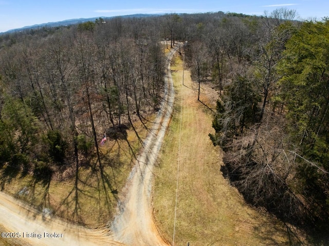 aerial view featuring a wooded view