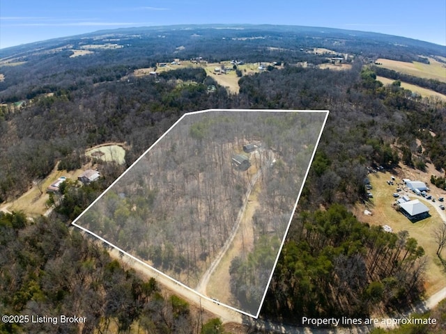 aerial view featuring a forest view