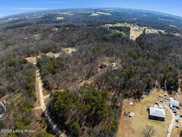 bird's eye view with a forest view