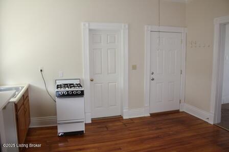 interior space with dark wood-type flooring, a closet, a sink, and baseboards