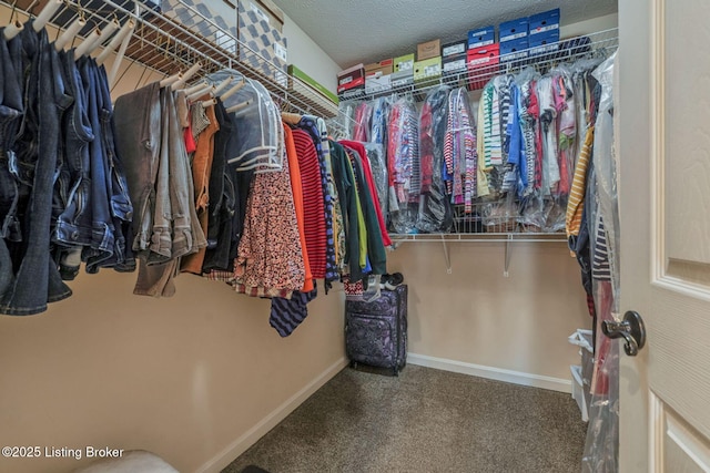 walk in closet with carpet