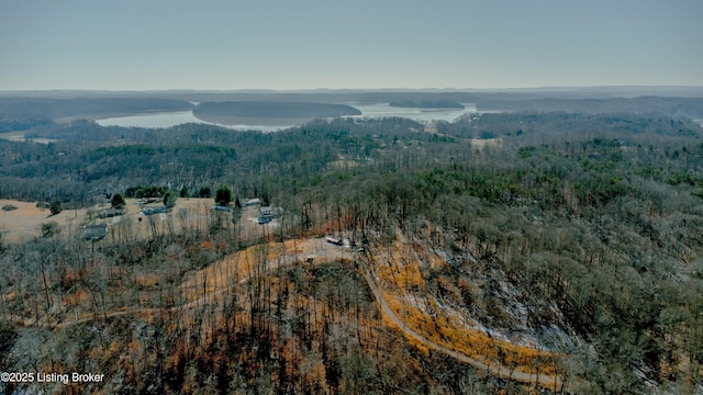 drone / aerial view with a water view and a wooded view