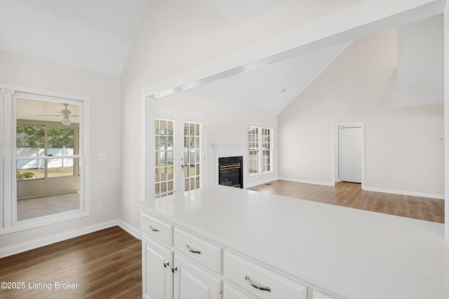 1523 Yorkshire Dr, Elizabethtown, KY 42701 - kitchen featuring dark wood-style flooring, a glass covered fireplace, a wealth of natural light, and white cabinets