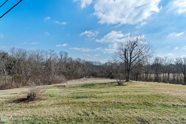 view of yard featuring a view of trees