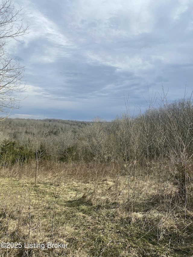 0 Sweeney Ridge Rd, Chaplin KY, 40012 land for sale