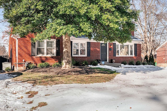 view of front of home featuring brick siding