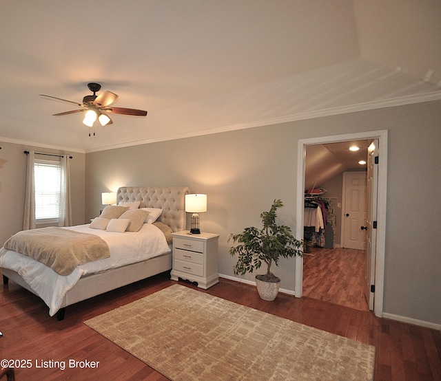 bedroom with a ceiling fan, baseboards, a walk in closet, dark wood finished floors, and crown molding