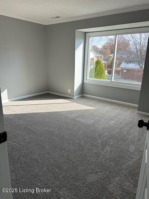 empty room with carpet, crown molding, a textured ceiling, and baseboards