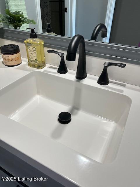 interior details with a sink