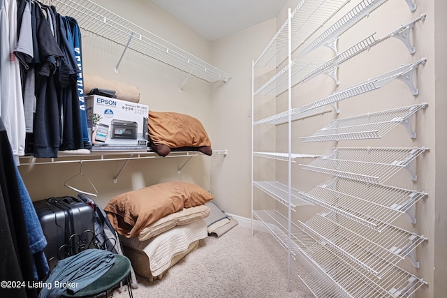 walk in closet with carpet