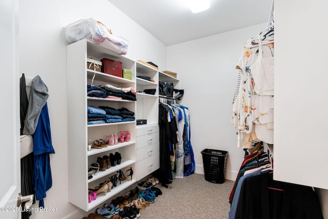 spacious closet with carpet floors