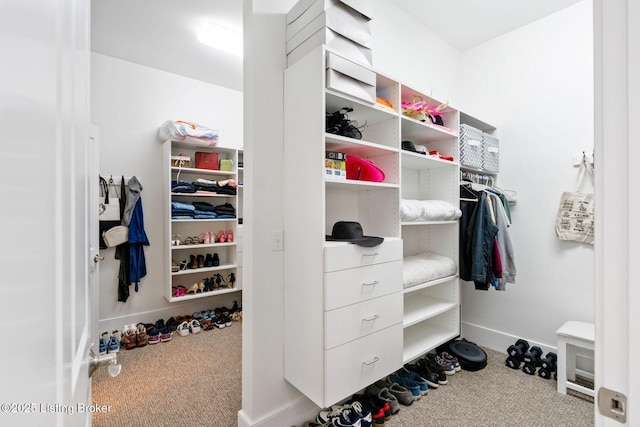 walk in closet featuring carpet floors