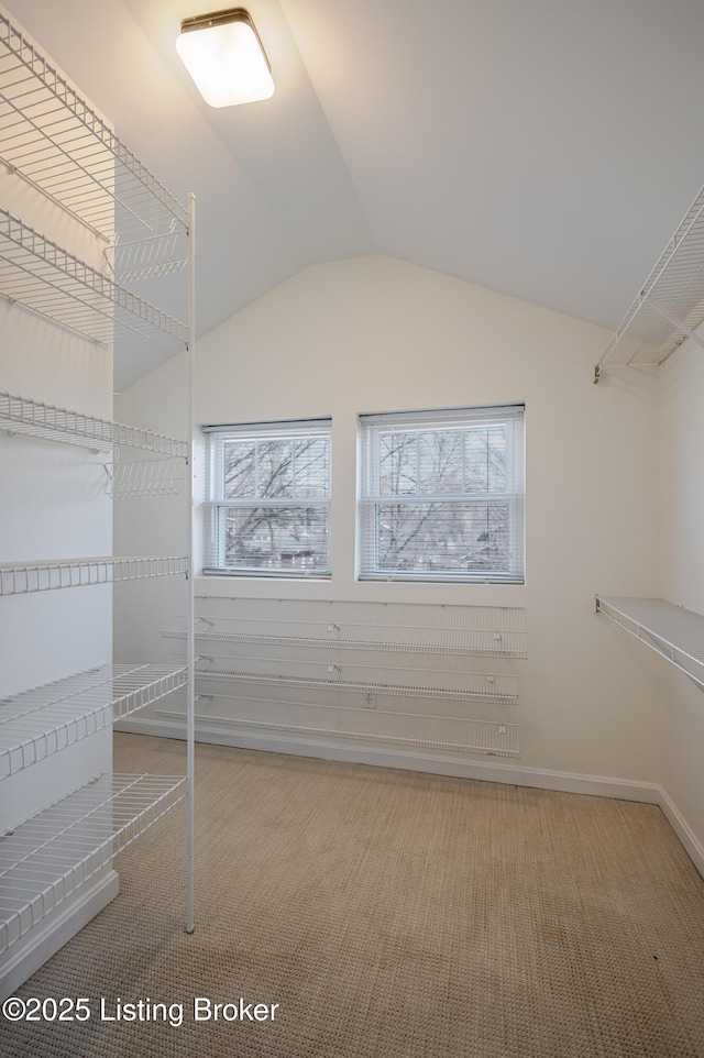 walk in closet featuring lofted ceiling and carpet