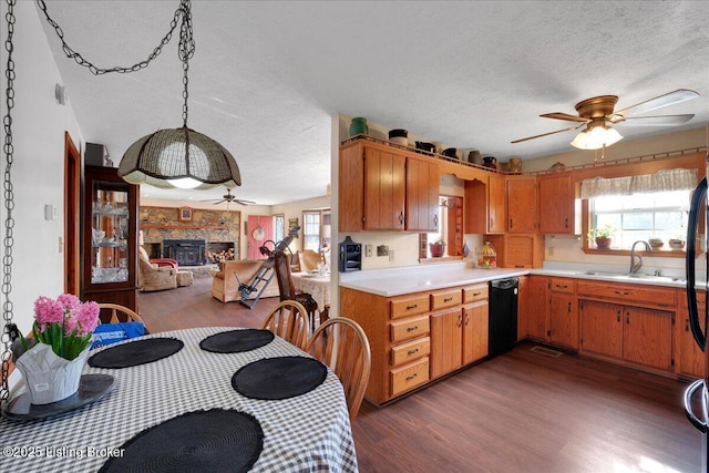 kitchen with a fireplace, a wealth of natural light, light countertops, a sink, and dishwasher