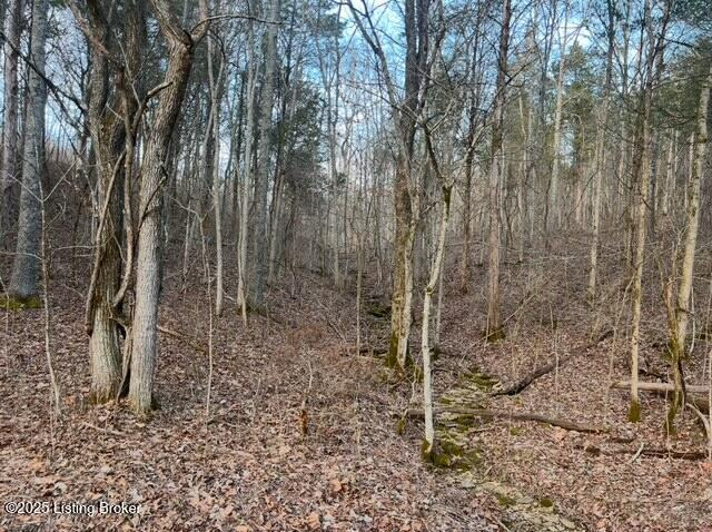 view of local wilderness with a view of trees