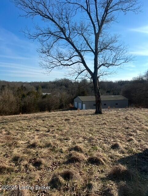 view of yard featuring a view of trees