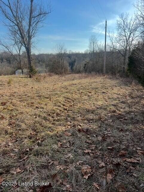 view of local wilderness