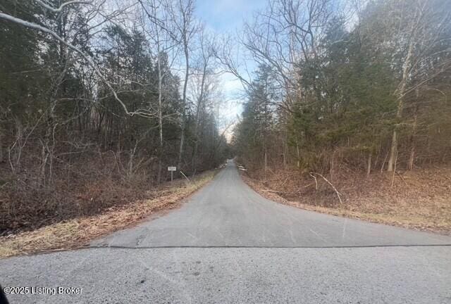 view of road