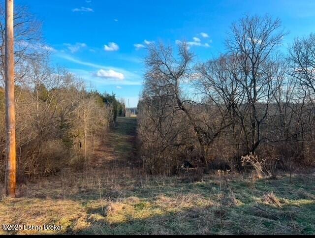 view of nature