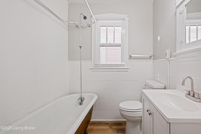 bathroom with toilet, a soaking tub, plenty of natural light, and vanity