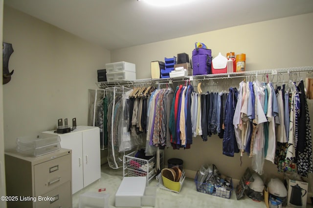 view of spacious closet