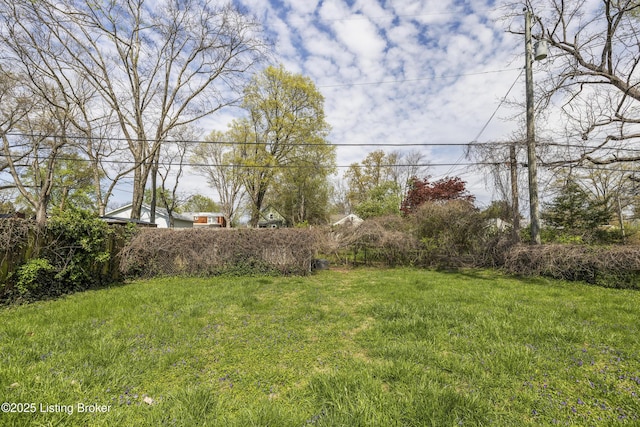 view of yard