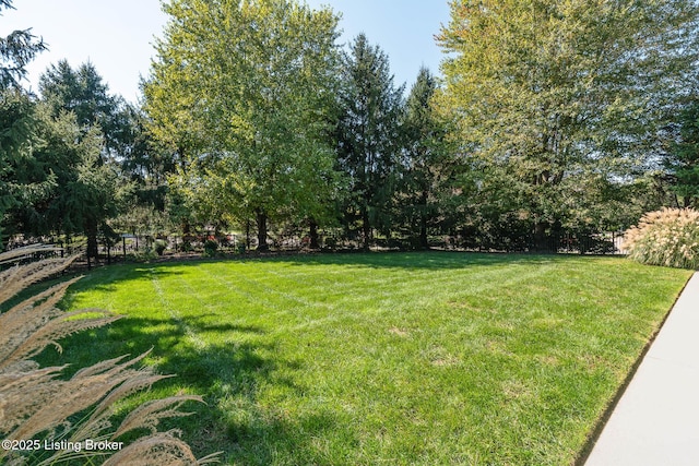 view of yard featuring fence