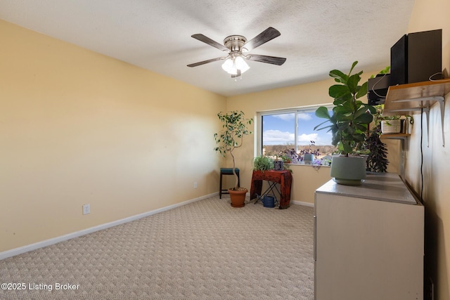 unfurnished office featuring light carpet, a textured ceiling, a ceiling fan, and baseboards