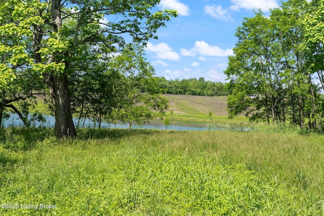 3314 Catalpa Farms Dr, Fisherville, KY 40023 - water view
