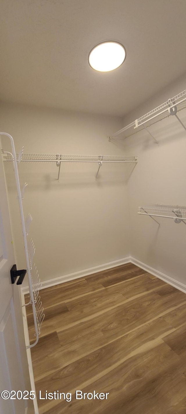 walk in closet featuring wood finished floors