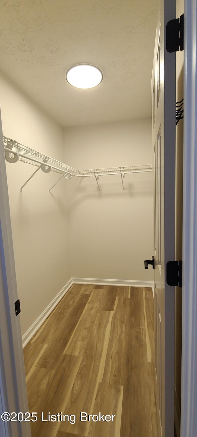 spacious closet featuring wood finished floors