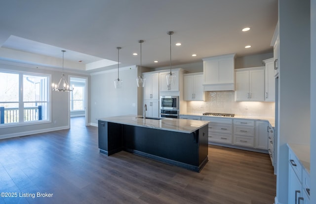 kitchen featuring dark wood finished floors, appliances with stainless steel finishes, custom exhaust hood, a tray ceiling, and backsplash