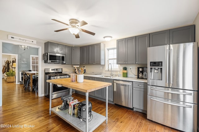 kitchen with ceiling fan, appliances with stainless steel finishes, gray cabinets, light wood-style floors, and a sink