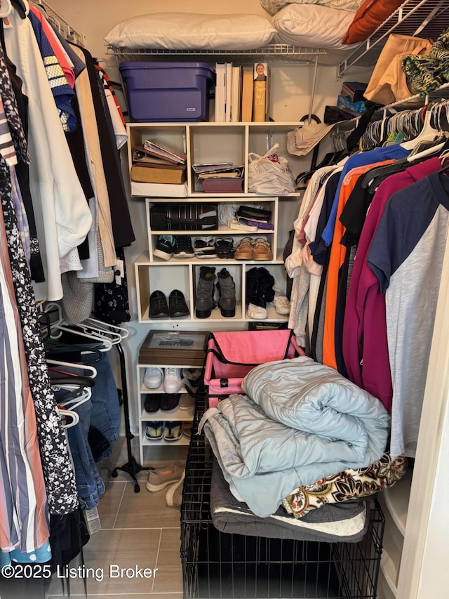 view of spacious closet