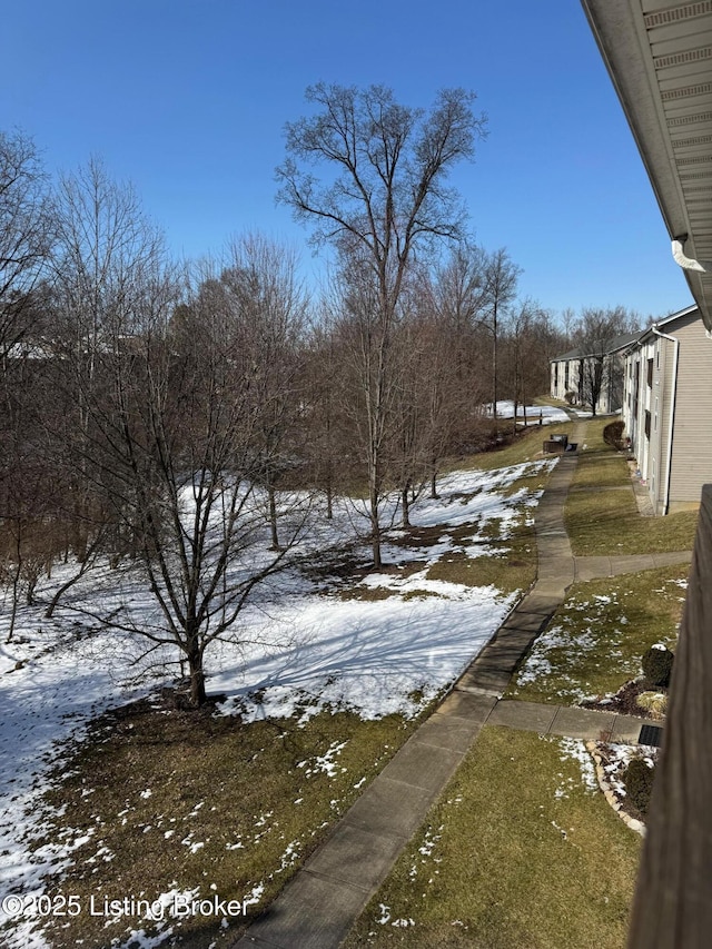 view of yard layered in snow