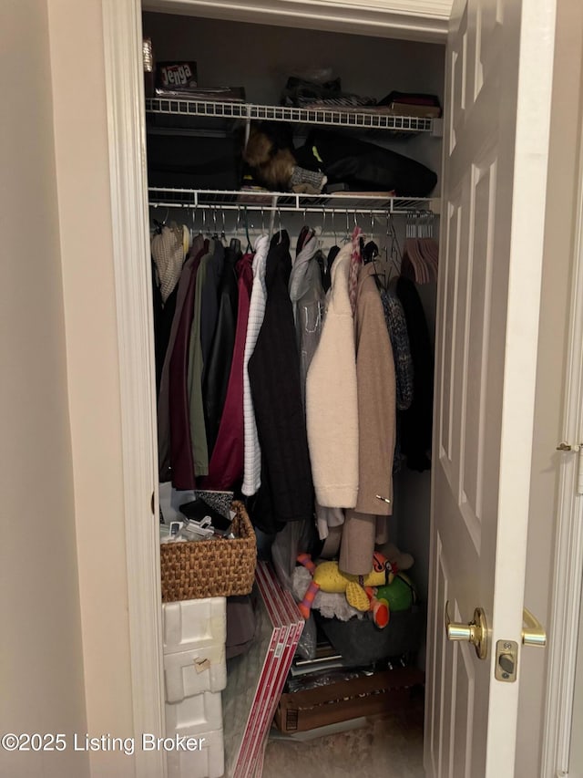 view of closet