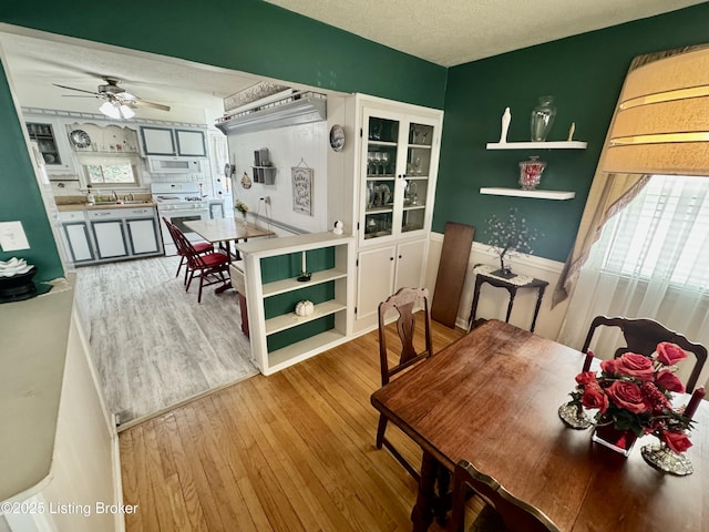 dining space with wood-type flooring, a textured ceiling, and a ceiling fan