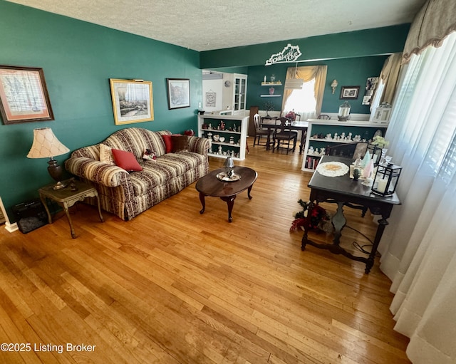 living room with a textured ceiling and wood-type flooring