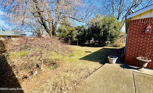 view of yard with a patio area