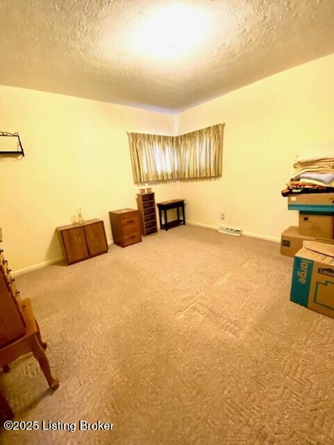 misc room featuring visible vents, carpet flooring, a textured ceiling, and baseboards